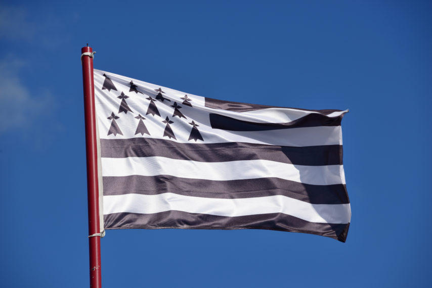 Pourquoi 11 Hermines Sur Le Drapeau Breton